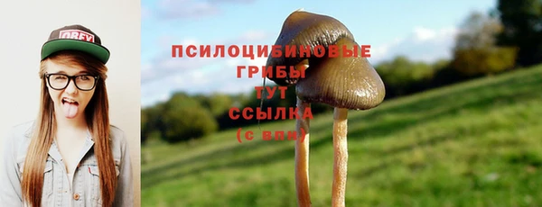 spice Зерноград