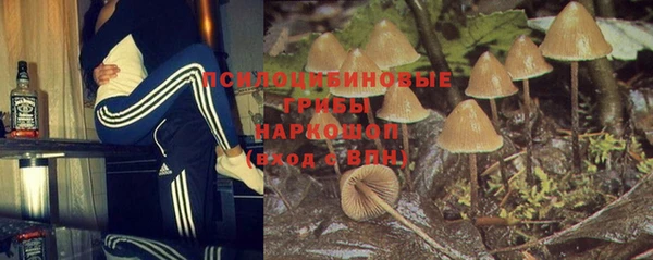 стафф Зеленодольск
